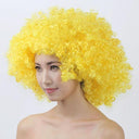 Colorful Afro Wig for Clowns & Parties Fun Hair Accessory Colorful Afro Wig for Clowns & Parties Fun Hair Accessory