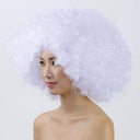 Colorful Afro Wig for Clowns & Parties Fun Hair Accessory Colorful Afro Wig for Clowns & Parties Fun Hair Accessory