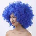 Colorful Afro Wig for Clowns & Parties Fun Hair Accessory Colorful Afro Wig for Clowns & Parties Fun Hair Accessory