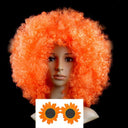 Colorful Afro Wig for Clowns & Parties Fun Hair Accessory Colorful Afro Wig for Clowns & Parties Fun Hair Accessory
