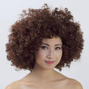 Colorful Afro Wig for Clowns & Parties Fun Hair Accessory Colorful Afro Wig for Clowns & Parties Fun Hair Accessory