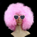 Colorful Afro Wig for Clowns & Parties Fun Hair Accessory Colorful Afro Wig for Clowns & Parties Fun Hair Accessory