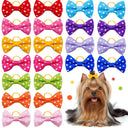 Colorful Small Dog Bows for Stylish Pups Hair Accessories Colorful Small Dog Bows for Stylish Pups Hair Accessories