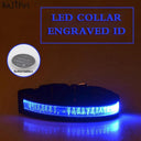 LED Light-Up Nylon Pet Collar: Safety and Style Upgrade LED Light-Up Nylon Pet Collar: Safety and Style Upgrade