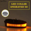 LED Light-Up Nylon Pet Collar: Safety and Style Upgrade LED Light-Up Nylon Pet Collar: Safety and Style Upgrade