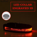 LED Light-Up Nylon Pet Collar: Safety and Style Upgrade LED Light-Up Nylon Pet Collar: Safety and Style Upgrade