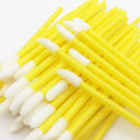 Disposable Lip Makeup Brushes: Professional Grade Essentials Disposable Lip Makeup Brushes: Professional Grade Essentials