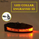 Light Up Your Pet LED Dog Collar with Engraved Tag Light Up Your Pet LED Dog Collar with Engraved Tag