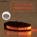 Light Up Your Pet LED Dog Collar with Engraved Tag Light Up Your Pet LED Dog Collar with Engraved Tag