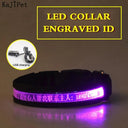 Light Up Your Pet LED Dog Collar with Engraved Tag Light Up Your Pet LED Dog Collar with Engraved Tag