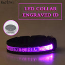 Light Up Your Pet LED Dog Collar with Engraved Tag Light Up Your Pet LED Dog Collar with Engraved Tag