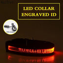Light Up Your Pet LED Dog Collar with Engraved Tag Light Up Your Pet LED Dog Collar with Engraved Tag