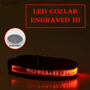 Light Up Your Pet LED Dog Collar with Engraved Tag Light Up Your Pet LED Dog Collar with Engraved Tag