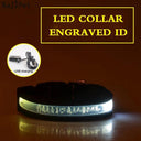 Light Up Your Pet LED Dog Collar with Engraved Tag Light Up Your Pet LED Dog Collar with Engraved Tag