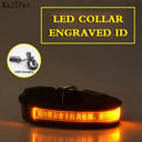 Light Up Your Pet LED Dog Collar with Engraved Tag Light Up Your Pet LED Dog Collar with Engraved Tag