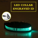 Light Up Your Pet LED Dog Collar with Engraved Tag Light Up Your Pet LED Dog Collar with Engraved Tag
