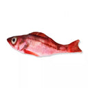 Fish Plush Stuffed Pillow Cat Toy Interactive Chew Toy Fish Plush Stuffed Pillow Cat Toy Interactive Chew Toy