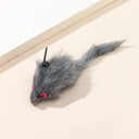 Funny Cat Feather Stick Toy Set For Engaging Kittens Funny Cat Feather Stick Toy Set For Engaging Kittens