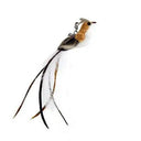 Funny Cat Feather Stick Toy Set For Engaging Kittens Funny Cat Feather Stick Toy Set For Engaging Kittens