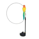 Funny Feather Cat Wand Toy With Bell Interactive Fun Funny Feather Cat Wand Toy With Bell Interactive Fun