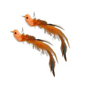 Funny Feather Cat Stick Toy with Bell Interactive Wand Fun Funny Feather Cat Stick Toy with Bell Interactive Wand Fun