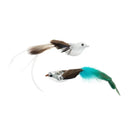 Funny Feather Cat Wand Toy With Bell Interactive Fun Funny Feather Cat Wand Toy With Bell Interactive Fun