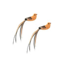 Funny Feather Cat Wand Toy With Bell Interactive Fun Funny Feather Cat Wand Toy With Bell Interactive Fun