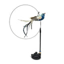 Funny Feather Cat Wand Toy With Bell Interactive Fun Funny Feather Cat Wand Toy With Bell Interactive Fun
