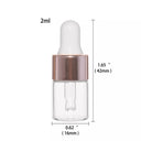 Glass Dropper Bottles Set: Essential Oil Storage Solution Glass Dropper Bottles Set: Essential Oil Storage Solution