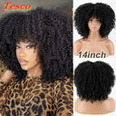 Hair Wig: Stylish African Afro Fashion Statement Wig Hair Wig: Stylish African Afro Fashion Statement Wig