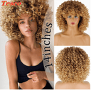 Hair Wig: Stylish African Afro Fashion Statement Wig Hair Wig: Stylish African Afro Fashion Statement Wig