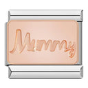 Hapiship Daisy Rose Heart Musical Instruments Charm Links Hapiship Daisy Rose Heart Musical Instruments Charm Links