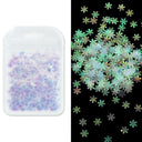 Laser Star Holographic Nail Art Sequins Sparkly DIY Kit Laser Star Holographic Nail Art Sequins Sparkly DIY Kit