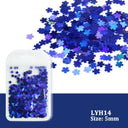 Laser Star Holographic Nail Art Sequins Sparkly DIY Kit Laser Star Holographic Nail Art Sequins Sparkly DIY Kit