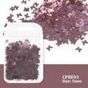 Laser Star Holographic Nail Art Sequins Sparkly DIY Kit Laser Star Holographic Nail Art Sequins Sparkly DIY Kit