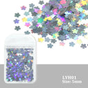 Laser Star Holographic Nail Art Sequins Sparkly DIY Kit Laser Star Holographic Nail Art Sequins Sparkly DIY Kit