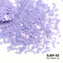 Laser Star Holographic Nail Art Sequins Sparkly DIY Kit Laser Star Holographic Nail Art Sequins Sparkly DIY Kit