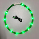 LED Dog Collar: Enhanced Night Safety & Visibility Gear LED Dog Collar: Enhanced Night Safety & Visibility Gear