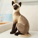 Lifelike Siamese Cat Plush Toy for Home Decor & Gifts Lifelike Siamese Cat Plush Toy for Home Decor & Gifts