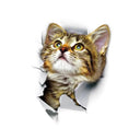 Lovely Pet 3D Wall Decals Stylish Eco-friendly Home Decor Lovely Pet 3D Wall Decals Stylish Eco-friendly Home Decor