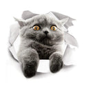 Lovely Pet 3D Wall Decals Stylish Eco-friendly Home Decor Lovely Pet 3D Wall Decals Stylish Eco-friendly Home Decor