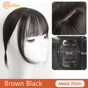 MEIFAN Clip-In Bangs Extension for Effortless Style Upgrade MEIFAN Clip-In Bangs Extension for Effortless Style Upgrade