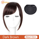 MEIFAN Clip-In Bangs Extension for Effortless Style Upgrade MEIFAN Clip-In Bangs Extension for Effortless Style Upgrade