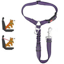 Reflective Pet Harness Leash Night Safety Solution for Dogs Reflective Pet Harness Leash Night Safety Solution for Dogs