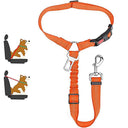 Reflective Pet Harness Leash Night Safety Solution for Dogs Reflective Pet Harness Leash Night Safety Solution for Dogs