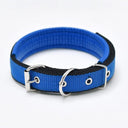 Foam Padded Pet Collar: Adjustable Stylish Neckband for Pets Foam Padded Pet Collar: Adjustable Stylish Neckband for Pets
