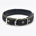 Foam Padded Pet Collar: Adjustable Stylish Neckband for Pets Foam Padded Pet Collar: Adjustable Stylish Neckband for Pets