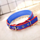 Foam Padded Pet Collar: Adjustable Stylish Neckband for Pets Foam Padded Pet Collar: Adjustable Stylish Neckband for Pets