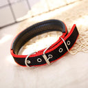 Foam Padded Pet Collar: Adjustable Stylish Neckband for Pets Foam Padded Pet Collar: Adjustable Stylish Neckband for Pets