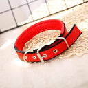 Foam Padded Pet Collar: Adjustable Stylish Neckband for Pets Foam Padded Pet Collar: Adjustable Stylish Neckband for Pets